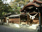tagajinja.jpg