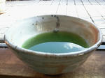 macha.jpg