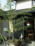 diningsanyasotatemono.jpg