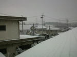 2010yuki.jpg
