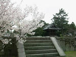 saidaitoato.jpg