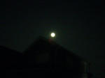 2010825.jpg