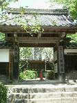 hananotera.jpg
