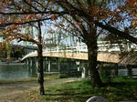 karahasihigasi.jpg