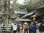 taga201111.jpg