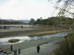 kamogawadelta.jpg