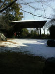 2011kenkosnowdohyo.jpg