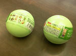 sentokungashapon.jpg