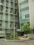 medai2011kotosogo.jpg
