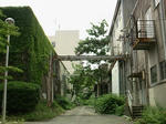 medai2011haikyo.jpg