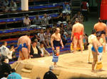 2011sumotakanoyamadohyoiri.JPG