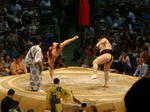 2011sumotakanoyama2.JPG