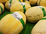 genkikabocha3.jpg