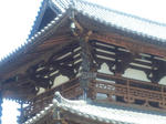 horyujikondoryu.jpg