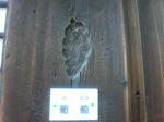 kenchujibudo.jpg