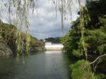 hikonejoenkei.jpg