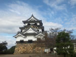 hikonejo.jpg