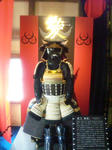 naoekanetugukachu.jpg
