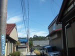 hikonejoka.jpg