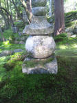 saimyojikoke.jpg