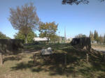 koshahodaiza.jpg
