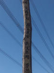 kuyoto4.jpg