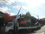 20111115yane3.jpg