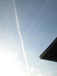 20111117hikokigumo.jpg