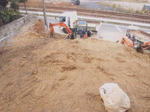 20111125.jpg