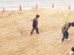 20111127jitinsai2.jpg