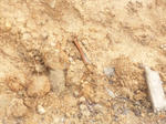20111203tuti.jpg