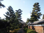 ryutanjimatu.jpg