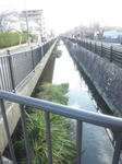 arakogawa.jpg