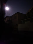 20111211izayoi.jpg