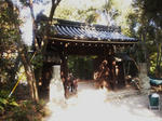 natayakusidomon.jpg