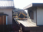 20111224waka.jpg
