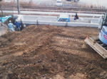 201112245.jpg