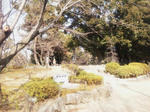 kiyosukoen.jpg