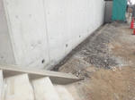 20122172.jpg