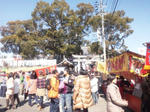 obudoburokuyatai2012.jpg