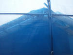 20122231.jpg