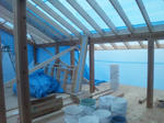 20122265.jpg
