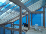 20122266.jpg