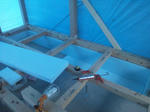 20122267.jpg