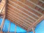 20122285.jpg
