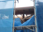 20122287.jpg