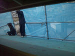 201230111.jpg