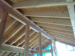 20123066.jpg