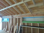 20123067.jpg