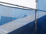 20123081.jpg